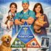 Board-certified veterinary specialists