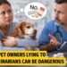 Pet owners lying to veterinarians