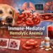 immune-mediated hemolytic anemia