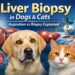 liver biopsy in dogs and cats
