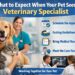 what to expect when your pet sees a veterinary specialist