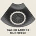 Gallbladder mucocele in dogs