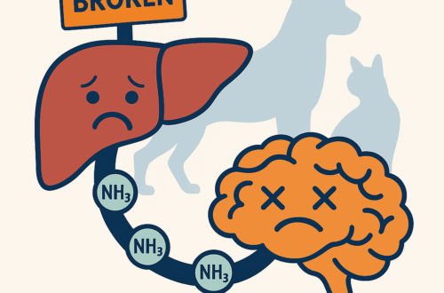 Hepatic encephalopathy in dogs and cats