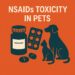 NSAID toxicity in dogs and cats
