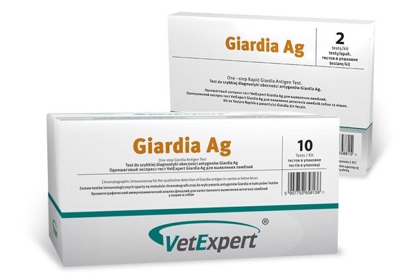 Giardiasis in Dogs & Cats An UnderAppreciated Cause of Diarrhea