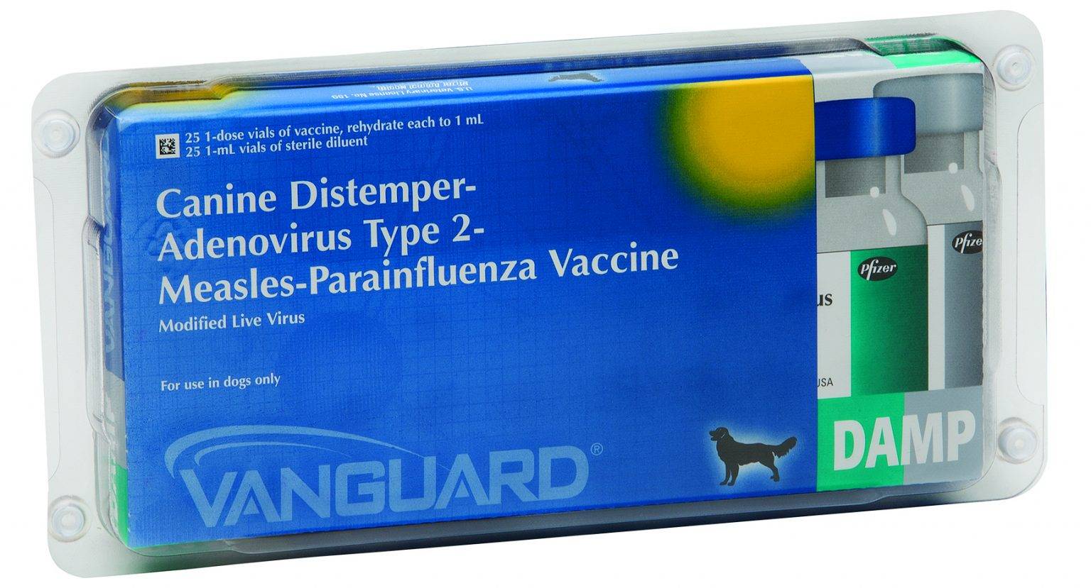 Canine Distemper An Oldie & Badie! CriticalCareDVM