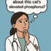 hyperphosphatemia in cats with CKD
