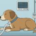 tracheostomy in dogs and cats
