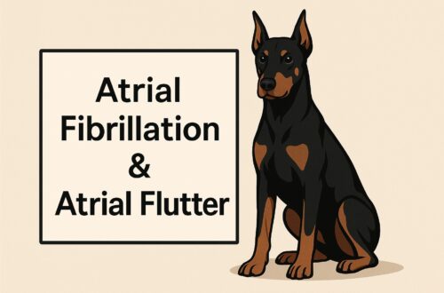 atrial fibrillation in dogs