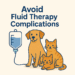 fluid therapy in dogs and cats,