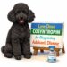 low dose cosyntropin dogs